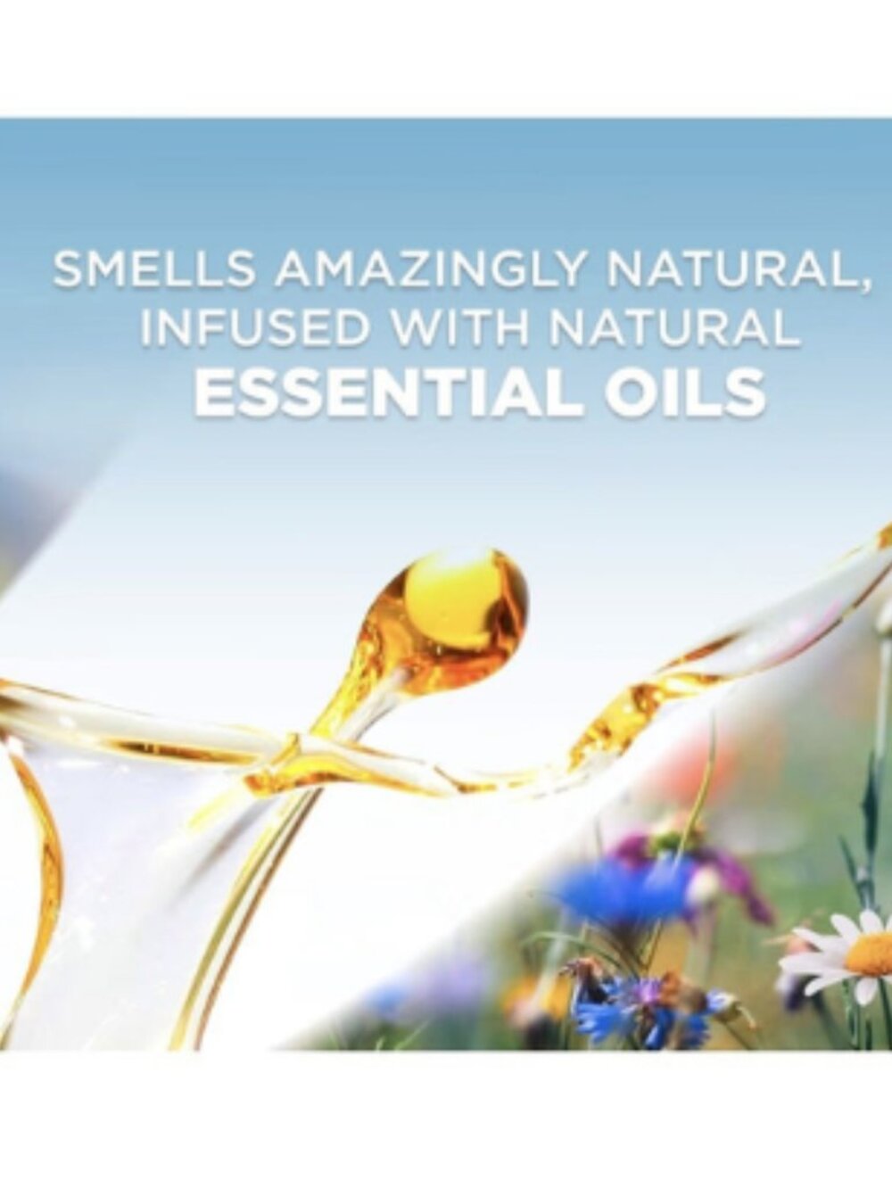 Air Wick Plug In Refills Honeysuckle Raspberry Essential Oils 5 Count Pack - Picture 2 of 4